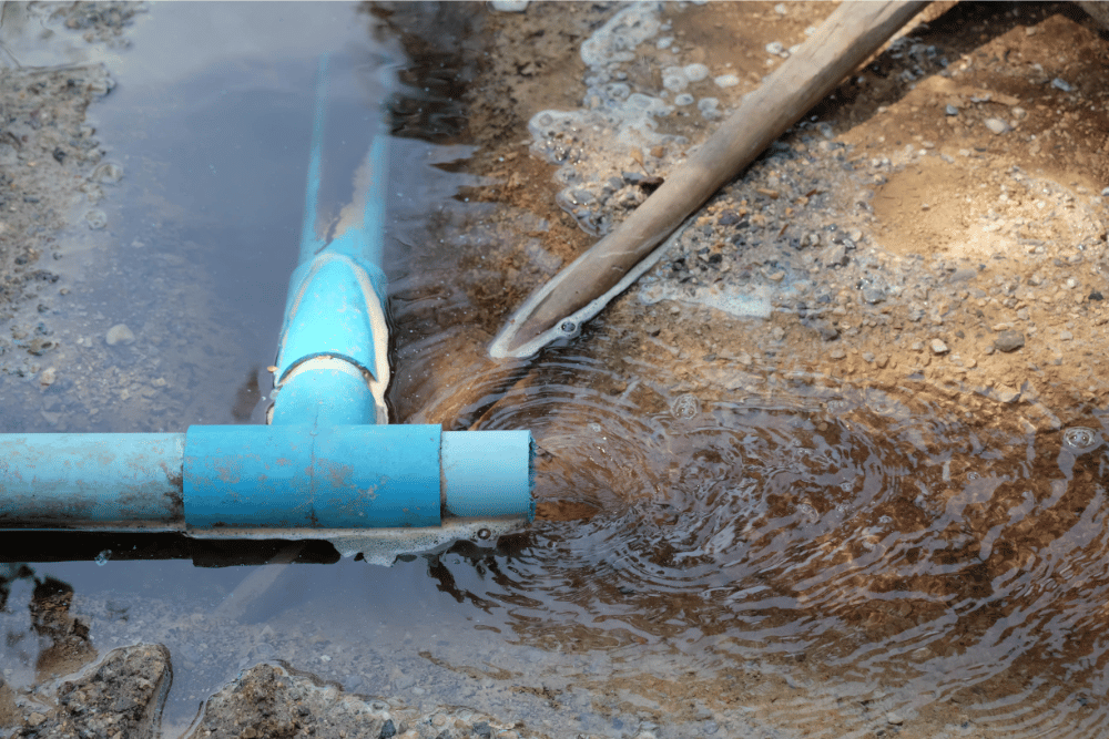 Drain pipe
