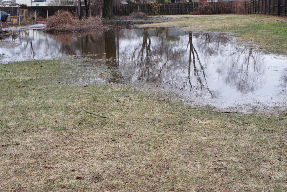 How to Improve Lawn Drainage In NZ